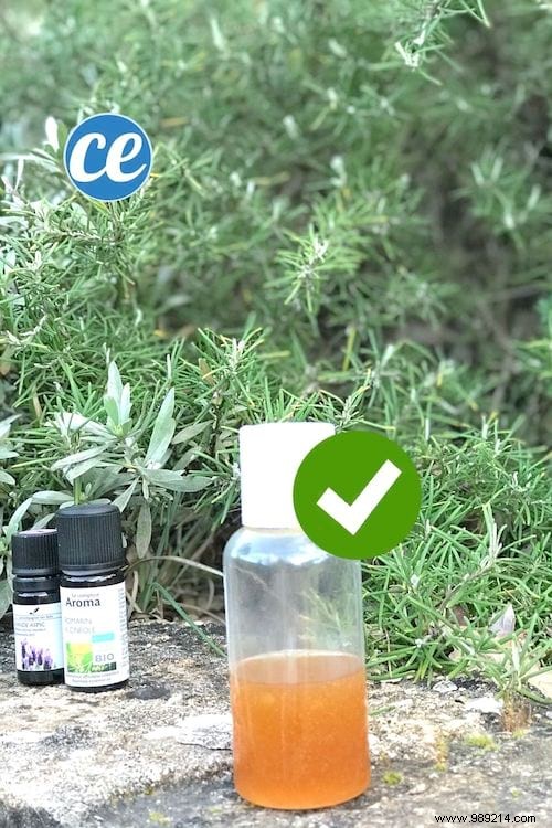 10 Simple DIY Hand Sanitizer Recipes: Effective Protection Against Bacteria and Viruses