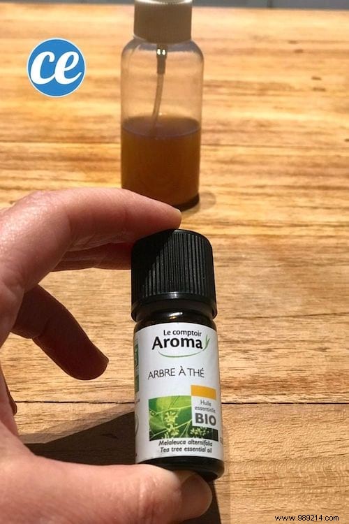 10 Simple DIY Hand Sanitizer Recipes: Effective Protection Against Bacteria and Viruses