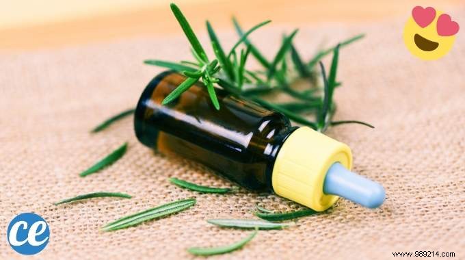 12 Scientifically Proven Benefits of Rosemary Essential Oil