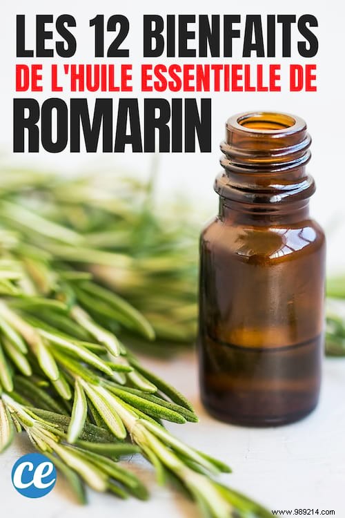 12 Scientifically Proven Benefits of Rosemary Essential Oil