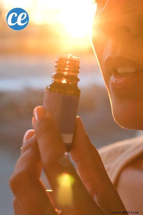 12 Scientifically Proven Benefits of Rosemary Essential Oil