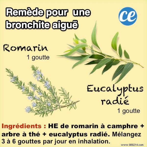 Natural Essential Oil Inhalation for Acute Bronchitis Relief