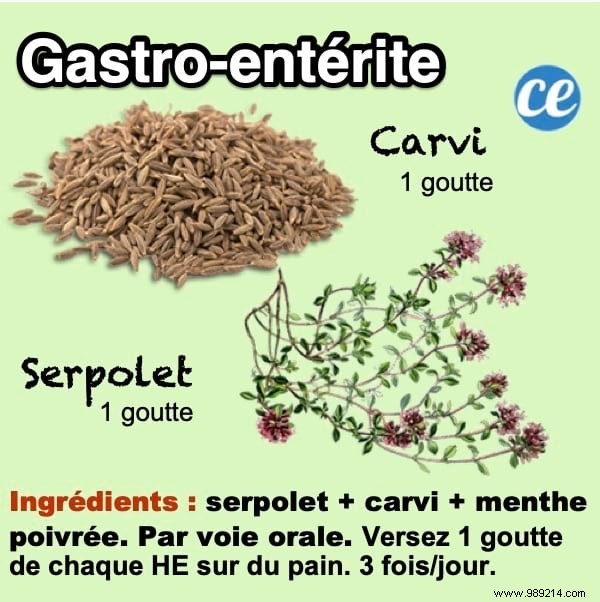 Effective Natural Remedy for Gastroenteritis: Essential Oils from Thyme, Caraway, and Peppermint