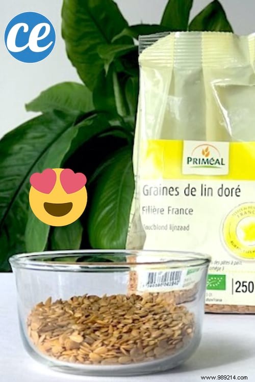 12 Science-Backed Health Benefits of Flaxseeds