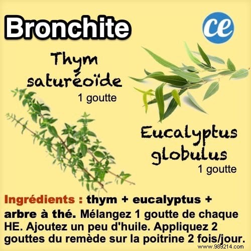 Natural Bronchitis Relief: Effective Essential Oil Blend with Thyme, Eucalyptus, and Tea Tree