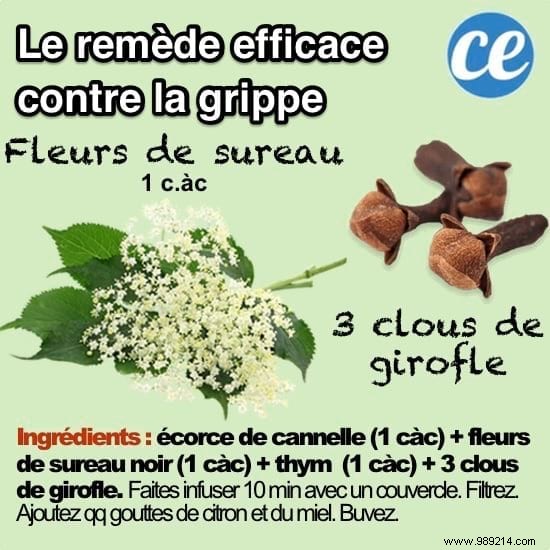 10 Scientifically Backed Grandma s Remedies for Everyday Ailments