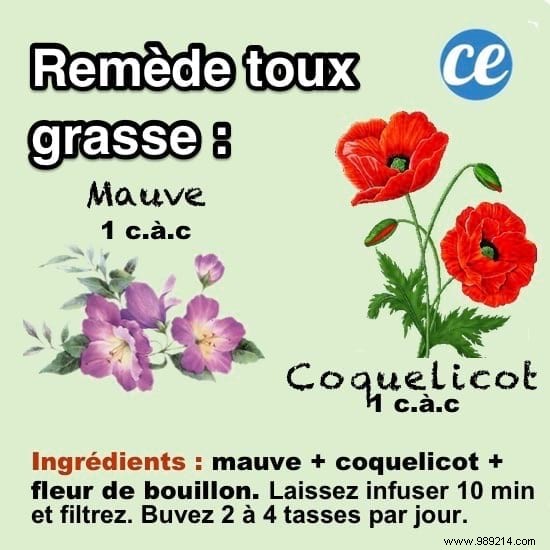 10 Scientifically Backed Grandma s Remedies for Everyday Ailments