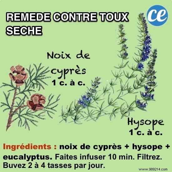 10 Scientifically Backed Grandma s Remedies for Everyday Ailments