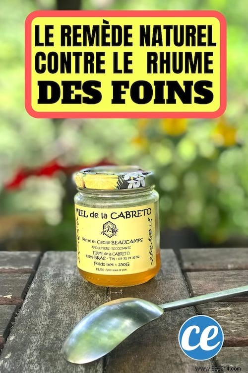 Grandma s Proven Honey Remedy: Fast, Natural Relief for Hay Fever