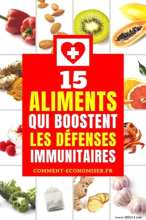 15 Proven Foods to Strengthen Your Immune System Against Viruses Like Coronavirus