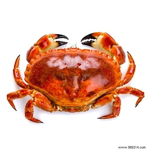 15 Proven Foods to Strengthen Your Immune System Against Viruses Like Coronavirus