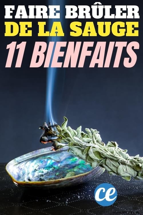 11 Science-Backed Benefits of Burning Sage: Purify Air, Reduce Stress, and More