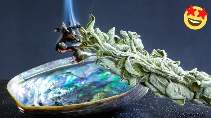 11 Science-Backed Benefits of Burning Sage: Purify Air, Reduce Stress, and More