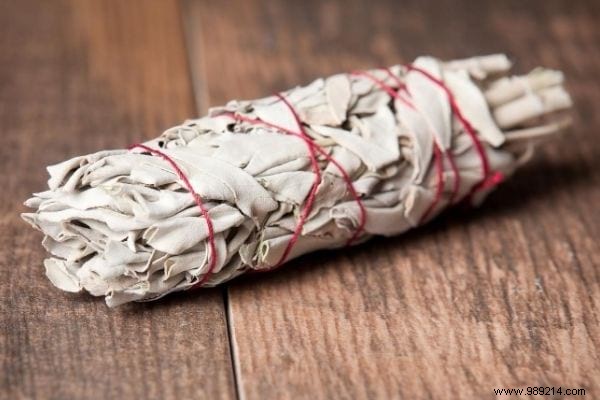11 Science-Backed Benefits of Burning Sage: Purify Air, Reduce Stress, and More