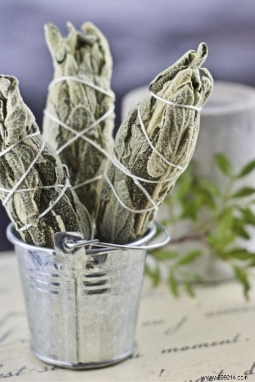 11 Science-Backed Benefits of Burning Sage: Purify Air, Reduce Stress, and More