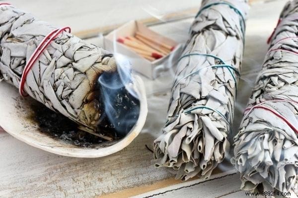 11 Science-Backed Benefits of Burning Sage: Purify Air, Reduce Stress, and More