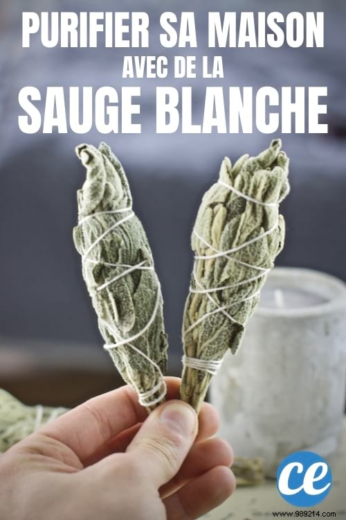 11 Science-Backed Benefits of Burning Sage: Purify Air, Reduce Stress, and More
