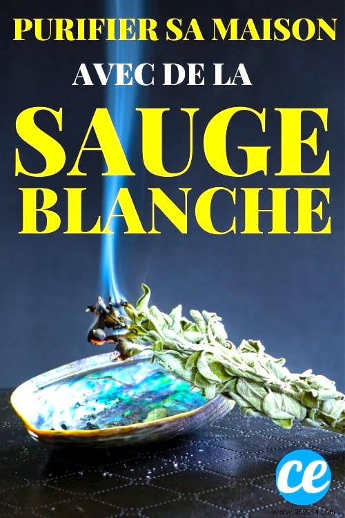 11 Science-Backed Benefits of Burning Sage: Purify Air, Reduce Stress, and More