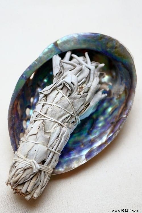 11 Science-Backed Benefits of Burning Sage: Purify Air, Reduce Stress, and More