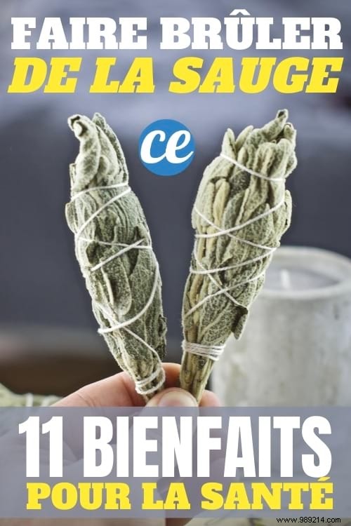 11 Science-Backed Benefits of Burning Sage: Purify Air, Reduce Stress, and More