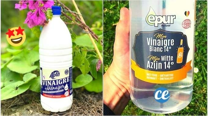10 Proven Health Benefits of White Vinegar, Backed by Science