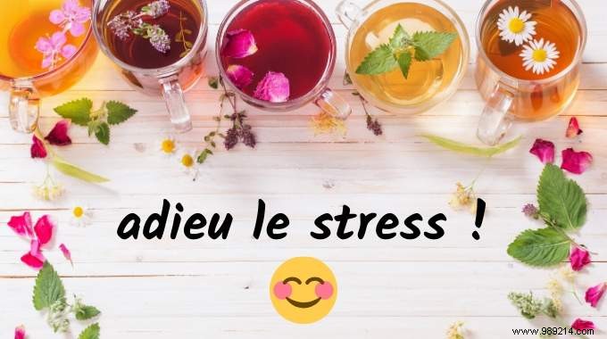 5 Time-Tested Herbal Teas to Naturally Relieve Stress and Anxiety
