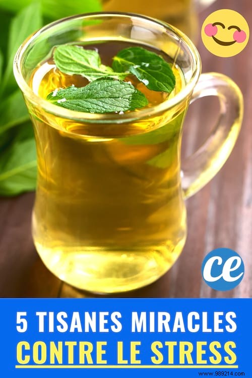 5 Time-Tested Herbal Teas to Naturally Relieve Stress and Anxiety