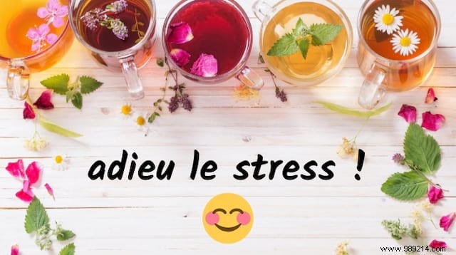 5 Time-Tested Herbal Teas to Naturally Relieve Stress and Anxiety