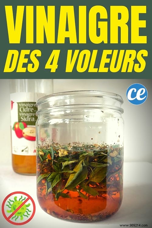 Four Thieves Vinegar: The Time-Tested Herbal Recipe for Immune Support
