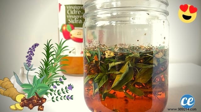 Four Thieves Vinegar: The Time-Tested Herbal Recipe for Immune Support