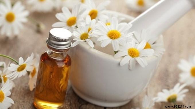 Chamomile Essential Oil Bath: A Proven Natural Way to Fall Asleep Faster