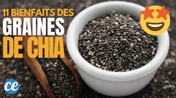 11 Scientifically Proven Health Benefits of Chia Seeds