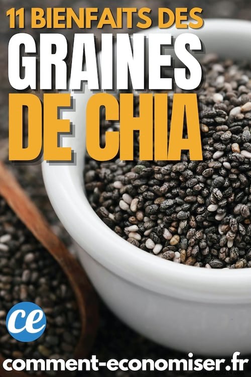 11 Scientifically Proven Health Benefits of Chia Seeds