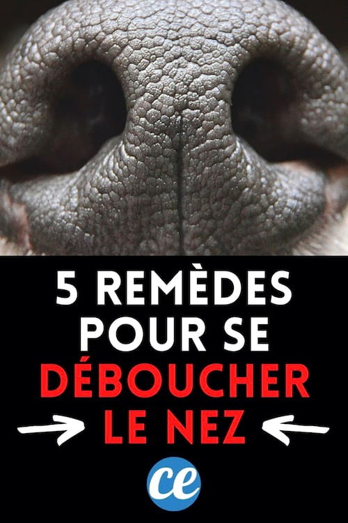 5 Proven Drug-Free Remedies to Quickly Clear a Stuffy Nose