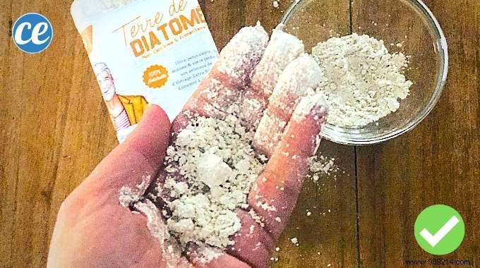 10 Key Health Benefits of Food-Grade Diatomaceous Earth