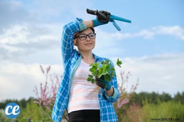 8 Proven Home Remedies to Relieve and Prevent Heat Rash Effectively