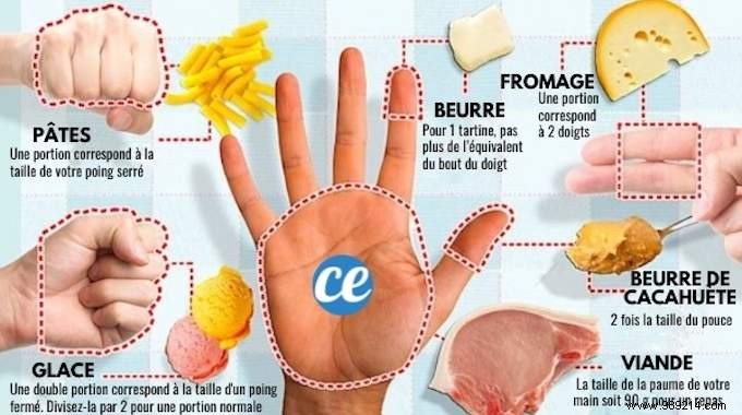 Hand Portion Guide: Ideal Food Sizes for Sustainable Weight Loss