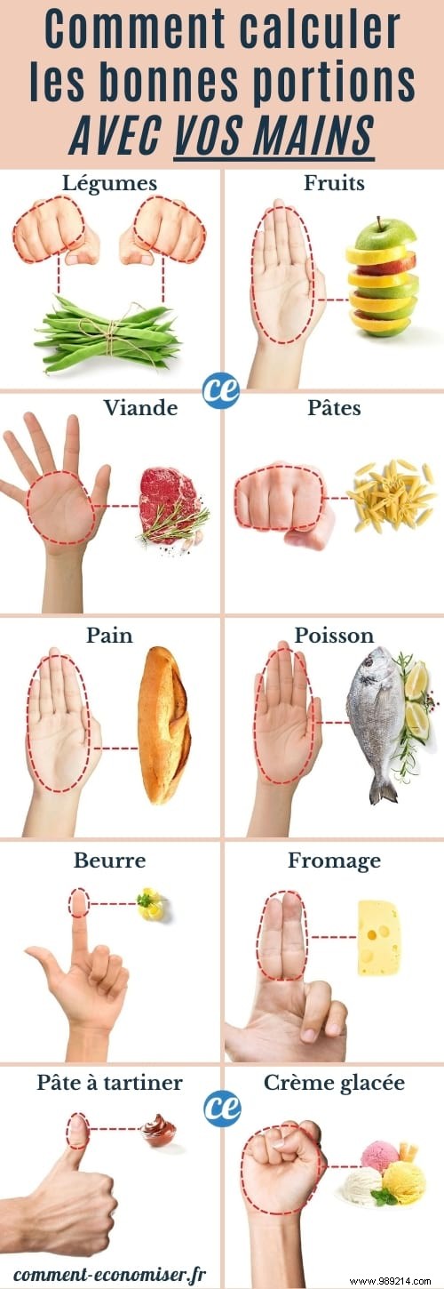 Hand Portion Guide: Ideal Food Sizes for Sustainable Weight Loss