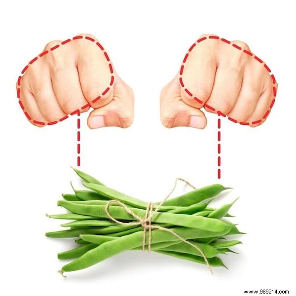 Hand Portion Guide: Ideal Food Sizes for Sustainable Weight Loss