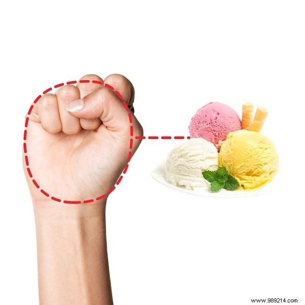 Hand Portion Guide: Ideal Food Sizes for Sustainable Weight Loss