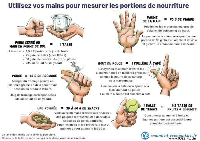 Hand Portion Guide: Ideal Food Sizes for Sustainable Weight Loss