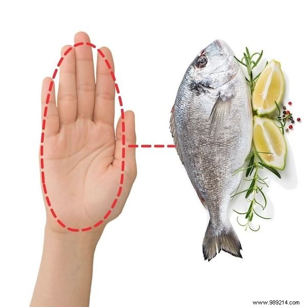 Hand Portion Guide: Ideal Food Sizes for Sustainable Weight Loss