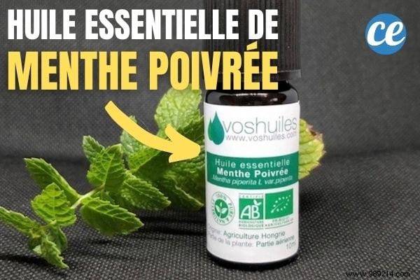 4 Proven Natural Remedies for Itchy Scalp Relief