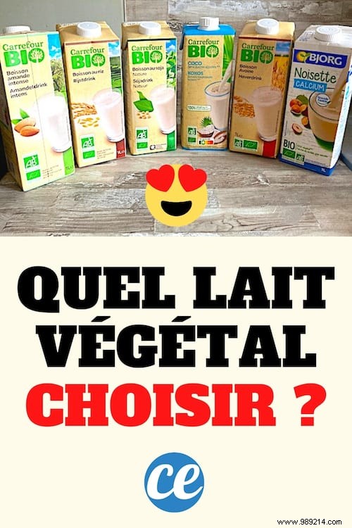 Plant-Based Milks: Top Choices and Their Key Health Benefits