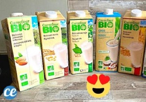 Plant-Based Milks: Top Choices and Their Key Health Benefits