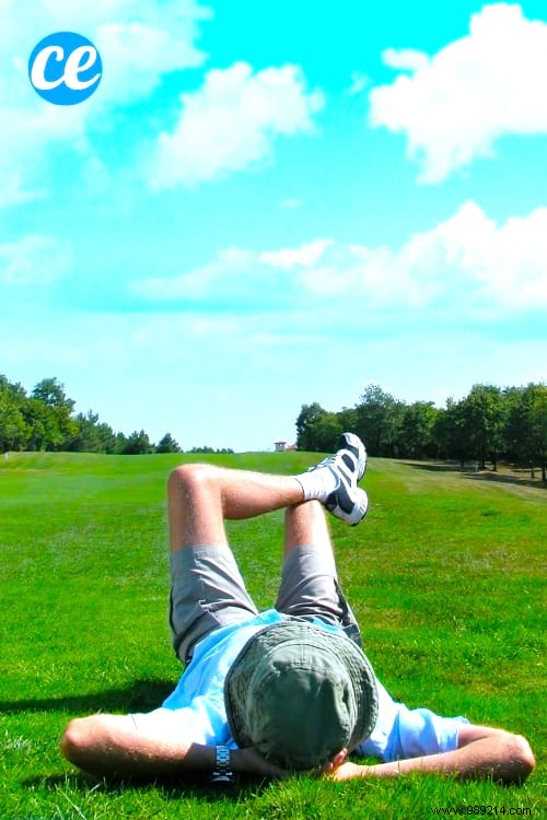 11 Proven Natural Remedies to Stop Hair Loss: Insights from My Experience