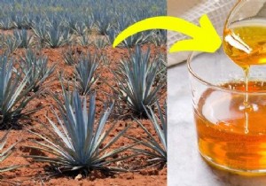 Agave Syrup: Benefits, Uses, Drawbacks, and Is It a Healthy Sugar Alternative?