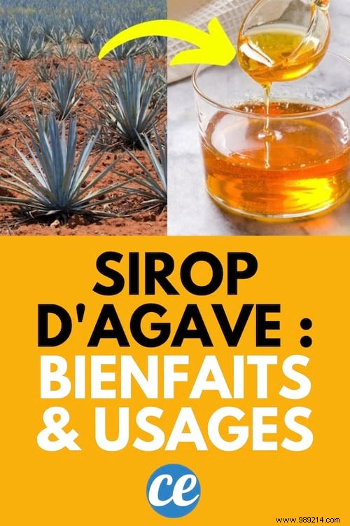 Agave Syrup: Benefits, Uses, Drawbacks, and Is It a Healthy Sugar Alternative?