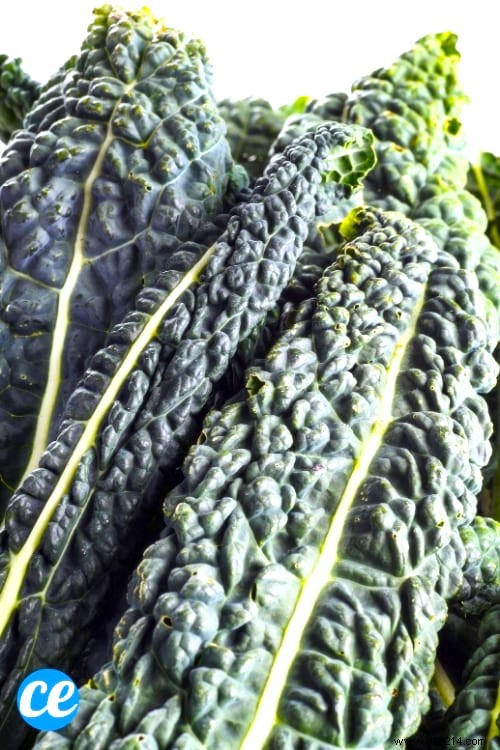 20 Science-Backed Foods to Accelerate Weight Loss