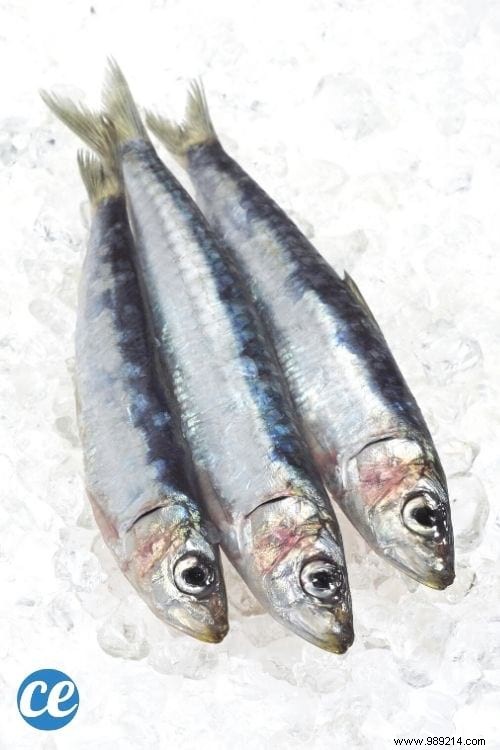 20 Science-Backed Foods to Accelerate Weight Loss